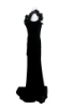 Picture of Marchesa